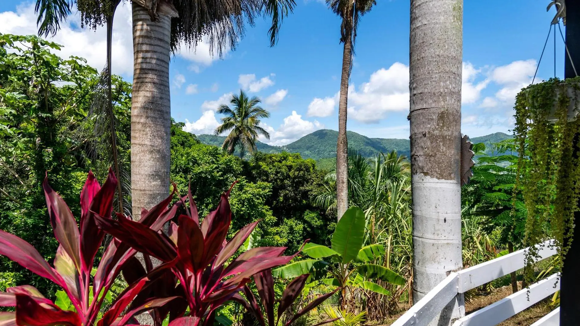 Apartment Hacienda Posada De Amor Maunabo
