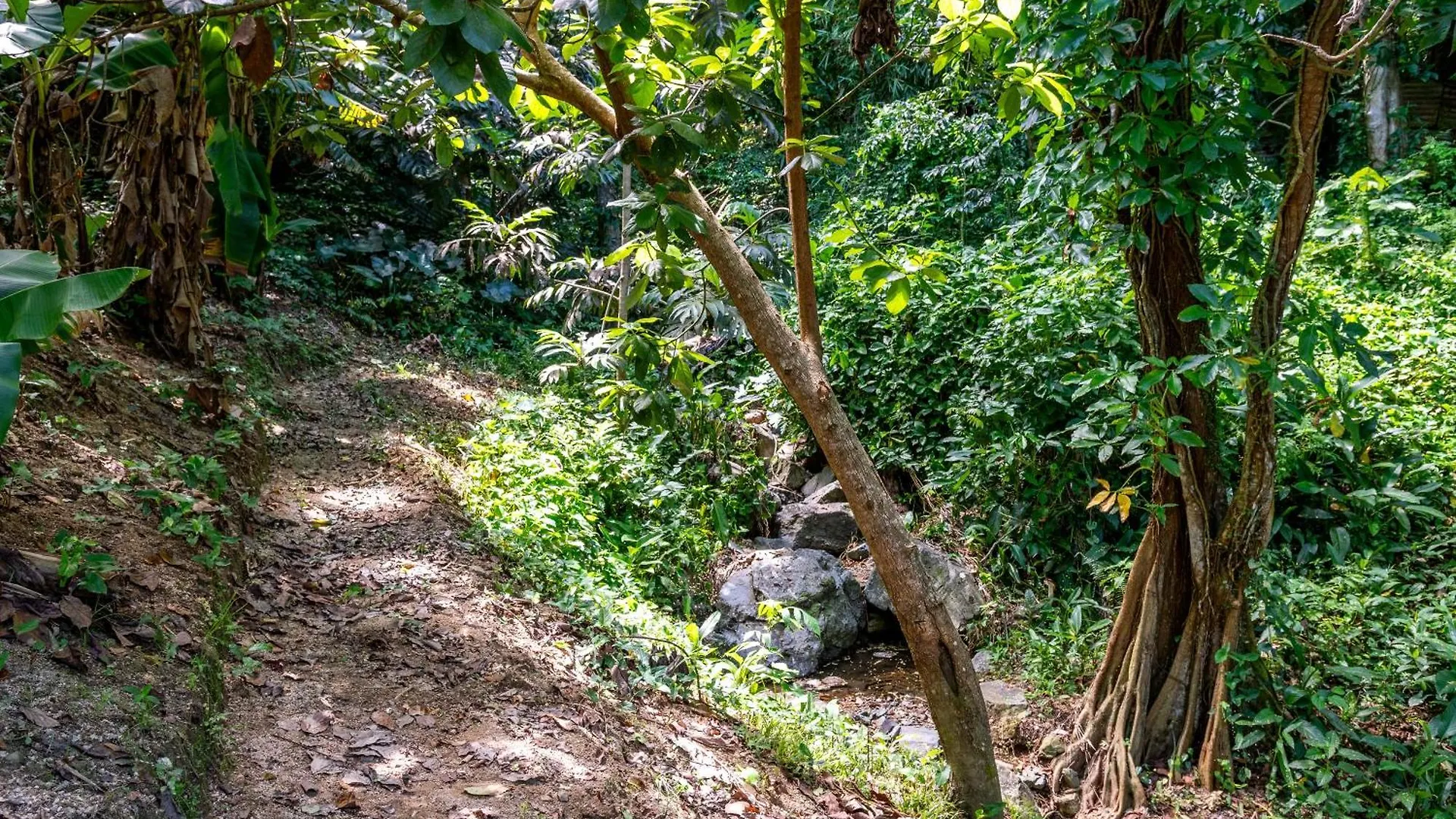 Hacienda Posada De Amor Maunabo Puerto Rico